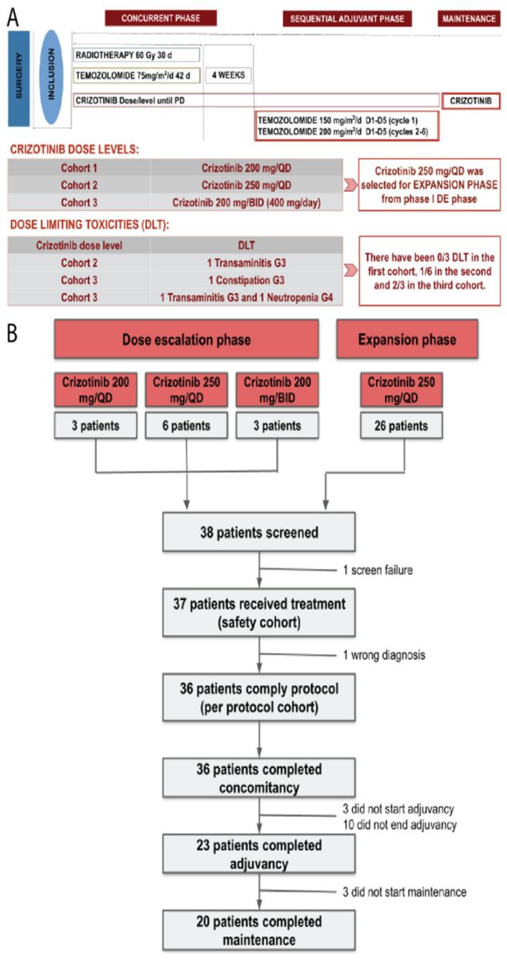 https://cdn.ncbi.nlm.nih.gov/pmc/blobs/f8db/9139576/bb88dbe2688f/cancers-14-02393-g001.jpg