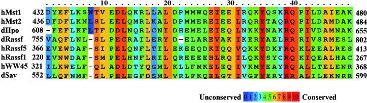 https://cdn.ncbi.nlm.nih.gov/pmc/blobs/f8dc/4089488/5dd1051d41ac/d-70-01944-fig1.jpg