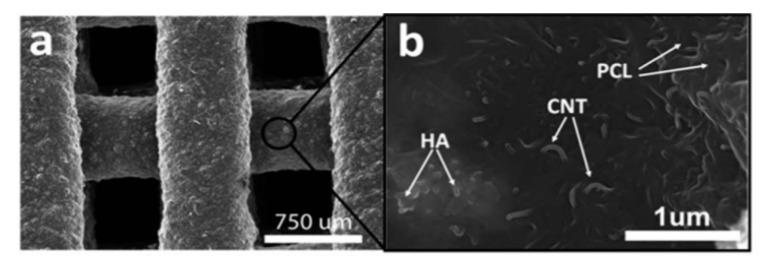 https://cdn.ncbi.nlm.nih.gov/pmc/blobs/f8dd/7697295/5dbac3dca1a2/materials-13-05083-g013.jpg