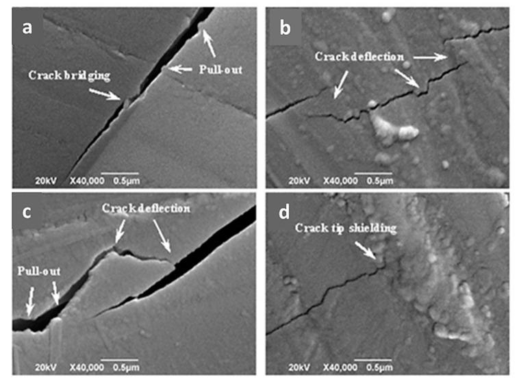 https://cdn.ncbi.nlm.nih.gov/pmc/blobs/f8dd/7697295/80312edbd241/materials-13-05083-g002.jpg