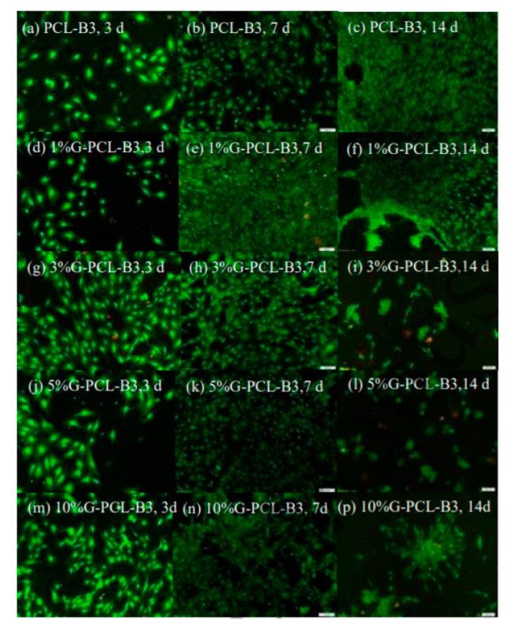 https://cdn.ncbi.nlm.nih.gov/pmc/blobs/f8dd/7697295/af848471439c/materials-13-05083-g004.jpg