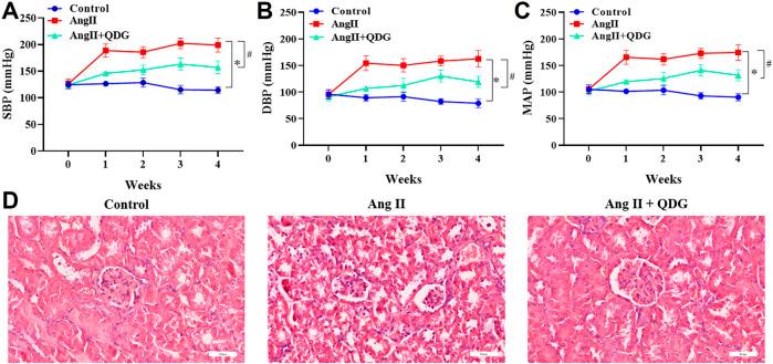 https://cdn.ncbi.nlm.nih.gov/pmc/blobs/f8dd/8867011/12de63c31e61/fphar-12-770863-g001.jpg