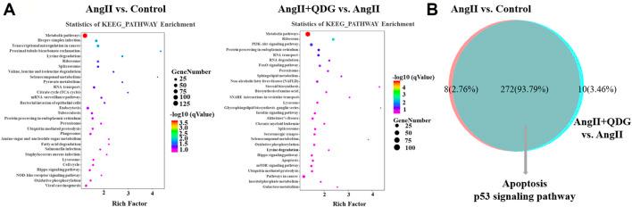 https://cdn.ncbi.nlm.nih.gov/pmc/blobs/f8dd/8867011/217d8a24a126/fphar-12-770863-g004.jpg