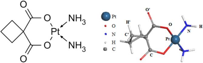 https://cdn.ncbi.nlm.nih.gov/pmc/blobs/f8de/12012144/06ca75e2bcbb/41598_2025_98262_Fig1_HTML.jpg