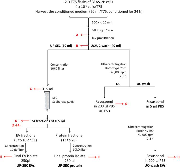 https://cdn.ncbi.nlm.nih.gov/pmc/blobs/f8de/5681555/65c62b2b89d3/41598_2017_15717_Fig1_HTML.jpg