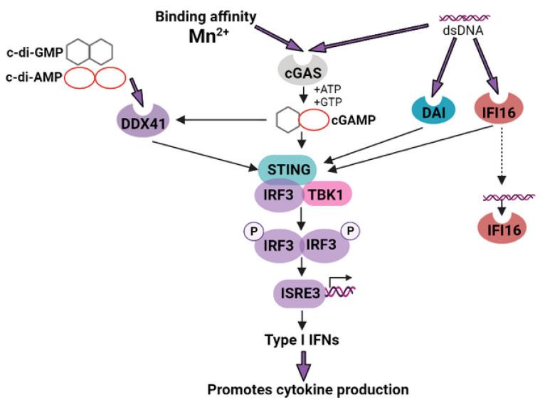 https://cdn.ncbi.nlm.nih.gov/pmc/blobs/f8e0/10222518/75fb7da45349/pharmaceutics-15-01346-g005.jpg