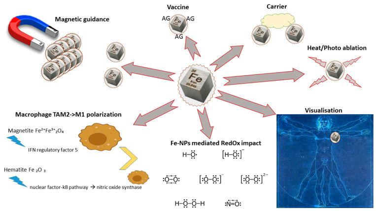 https://cdn.ncbi.nlm.nih.gov/pmc/blobs/f8e0/10222518/fab0116d828d/pharmaceutics-15-01346-g003.jpg