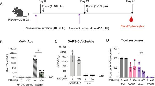 https://cdn.ncbi.nlm.nih.gov/pmc/blobs/f8e0/10865805/22fff82b24bd/mbio.02928-23.f008.jpg