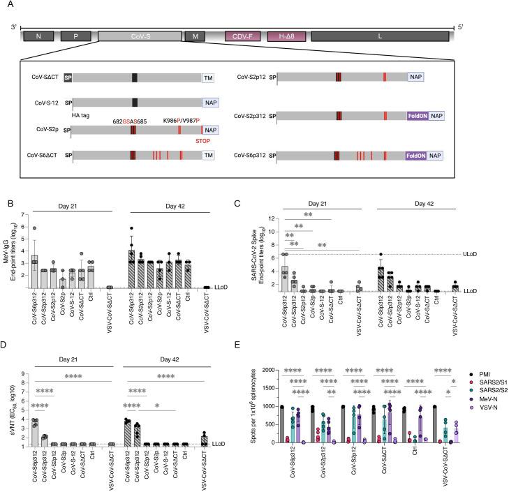 https://cdn.ncbi.nlm.nih.gov/pmc/blobs/f8e0/10865805/590169dcd9af/mbio.02928-23.f003.jpg