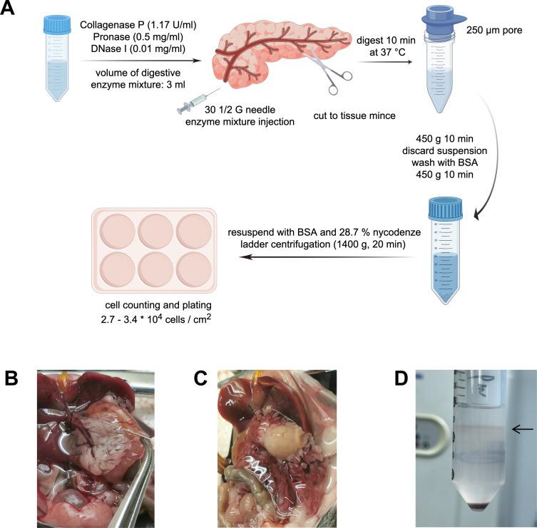 https://cdn.ncbi.nlm.nih.gov/pmc/blobs/f8e3/12067667/04b0c7e1bc47/CEG-18-79-g0001.jpg