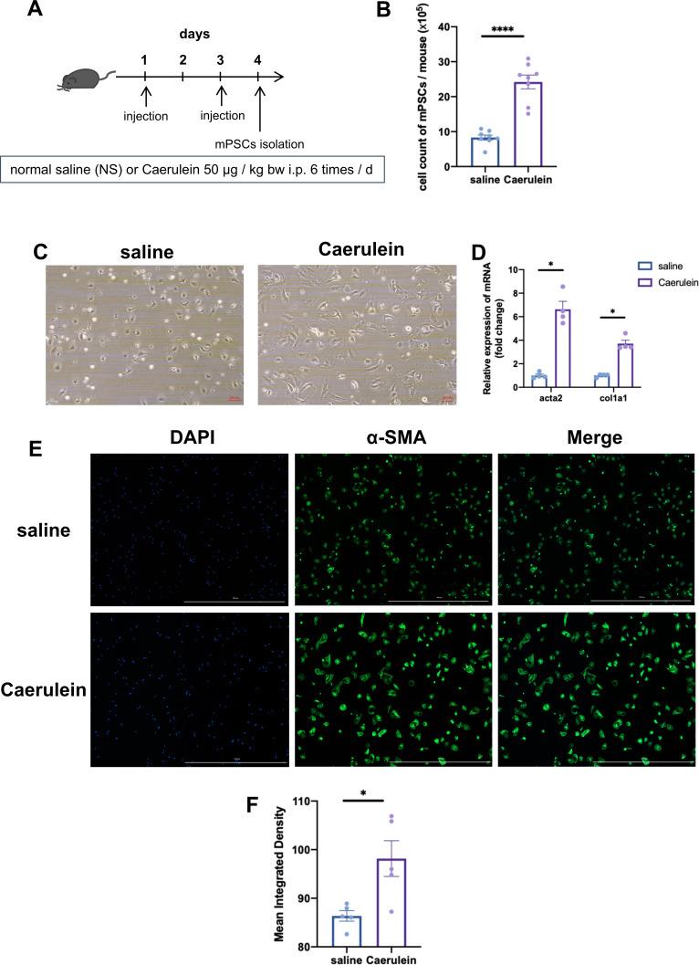 https://cdn.ncbi.nlm.nih.gov/pmc/blobs/f8e3/12067667/9b2c5ddf4dc3/CEG-18-79-g0003.jpg