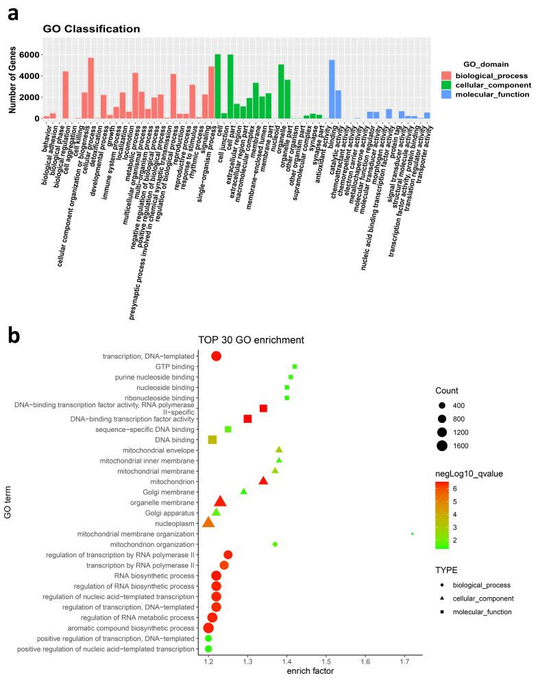 https://cdn.ncbi.nlm.nih.gov/pmc/blobs/f8e4/10124566/81ab14d6ea83/IJGM-16-1455-g0004.jpg