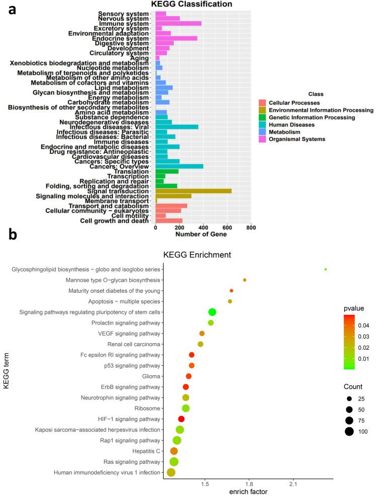https://cdn.ncbi.nlm.nih.gov/pmc/blobs/f8e4/10124566/8a8159821ccf/IJGM-16-1455-g0005.jpg