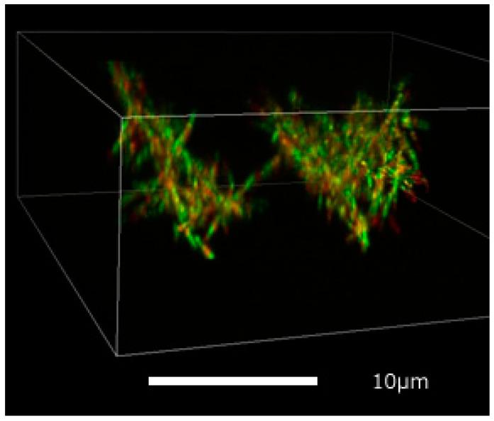 https://cdn.ncbi.nlm.nih.gov/pmc/blobs/f8e5/7570018/64ce0815e38f/micromachines-11-00844-g003.jpg