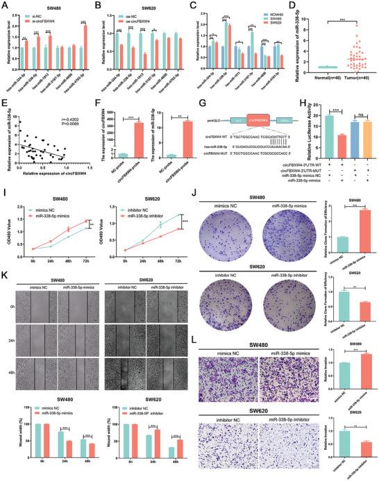 https://cdn.ncbi.nlm.nih.gov/pmc/blobs/f8e6/11095154/8bfa23c690fc/ADVS-11-2300129-g003.jpg
