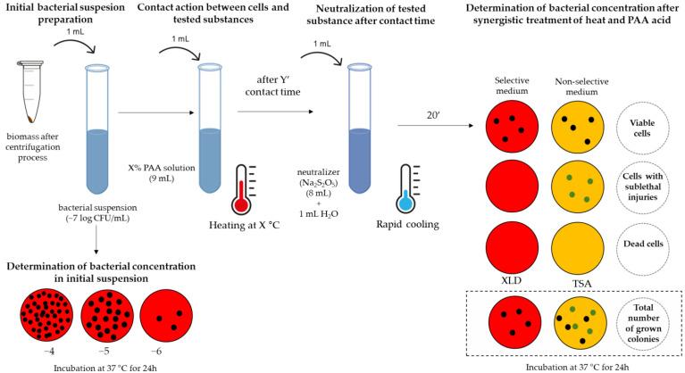 https://cdn.ncbi.nlm.nih.gov/pmc/blobs/f8e7/10674339/11c4e0e090af/pathogens-12-01336-g002.jpg