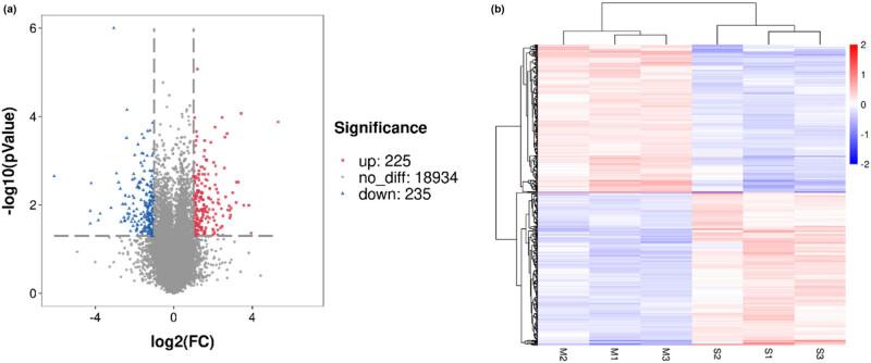 https://cdn.ncbi.nlm.nih.gov/pmc/blobs/f8e8/11049749/1b609d05c55b/j_biol-2022-0843-fig003.jpg