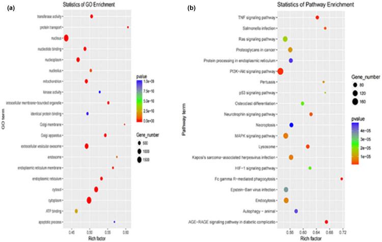 https://cdn.ncbi.nlm.nih.gov/pmc/blobs/f8e8/11049749/6d0eb73dcb4c/j_biol-2022-0843-fig007.jpg