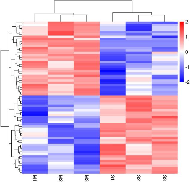 https://cdn.ncbi.nlm.nih.gov/pmc/blobs/f8e8/11049749/813f09bcc342/j_biol-2022-0843-fig002.jpg
