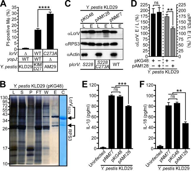 https://cdn.ncbi.nlm.nih.gov/pmc/blobs/f8ec/5433101/81b790f6318a/mbo0031733120004.jpg