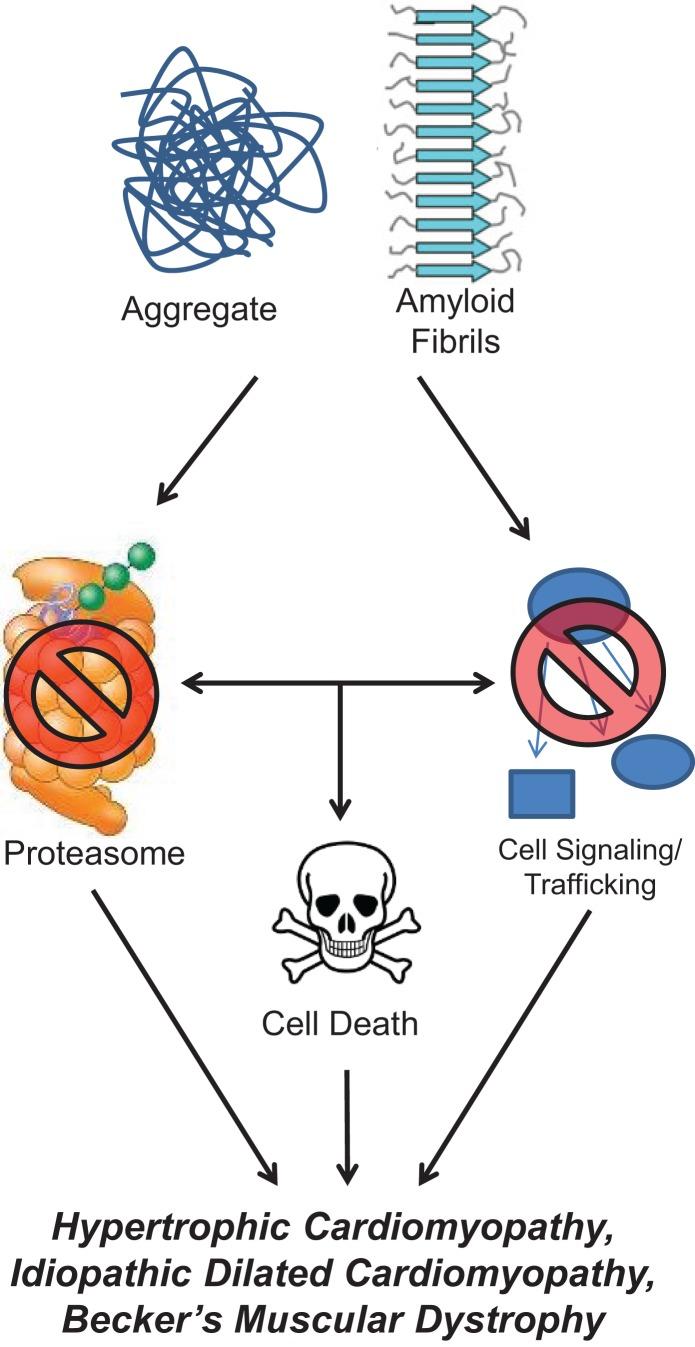 https://cdn.ncbi.nlm.nih.gov/pmc/blobs/f8ee/4671334/0d228f4aae17/fcvm-02-00025-g002.jpg