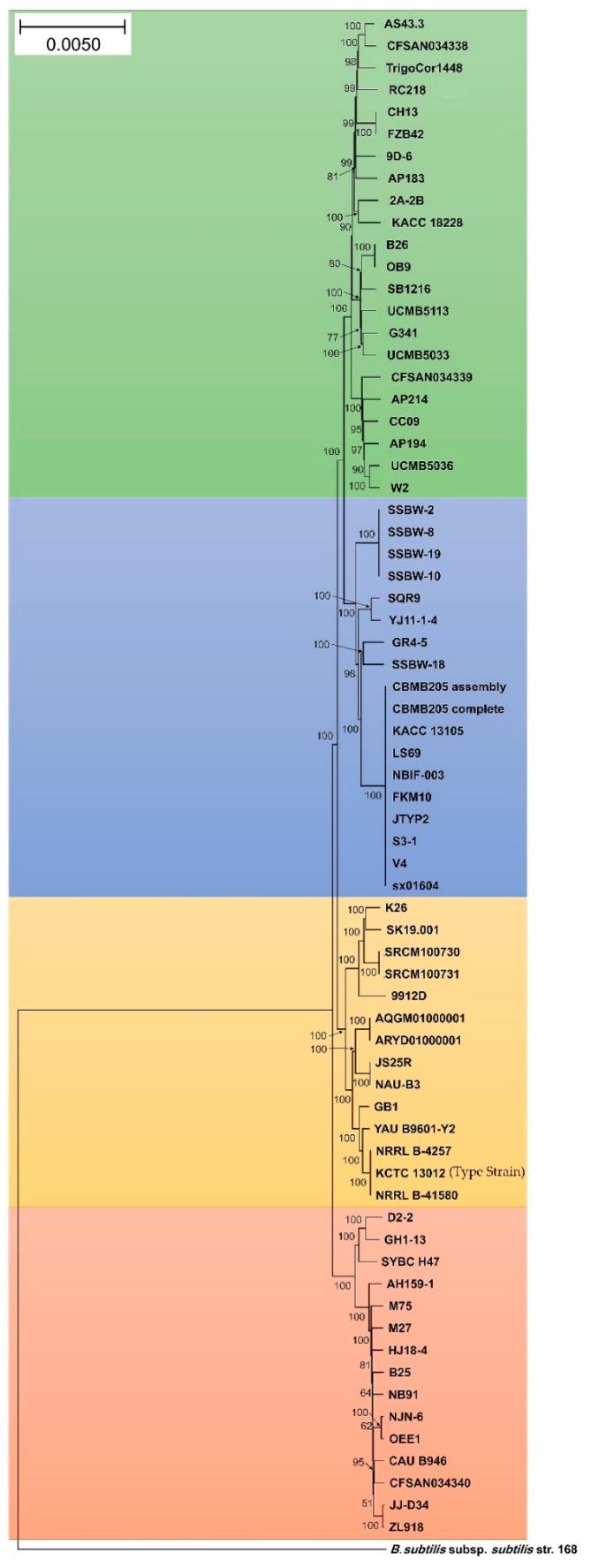 https://cdn.ncbi.nlm.nih.gov/pmc/blobs/f8ee/6780883/d18fe51b0899/microorganisms-07-00314-g003.jpg