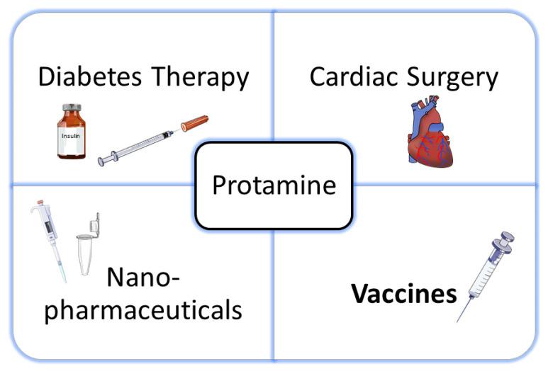 https://cdn.ncbi.nlm.nih.gov/pmc/blobs/f8f1/8230241/44c9af91714b/nanomaterials-11-01508-g001.jpg
