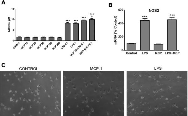 https://cdn.ncbi.nlm.nih.gov/pmc/blobs/f8f2/3146846/6cfd11b9b23b/1742-2094-8-77-3.jpg