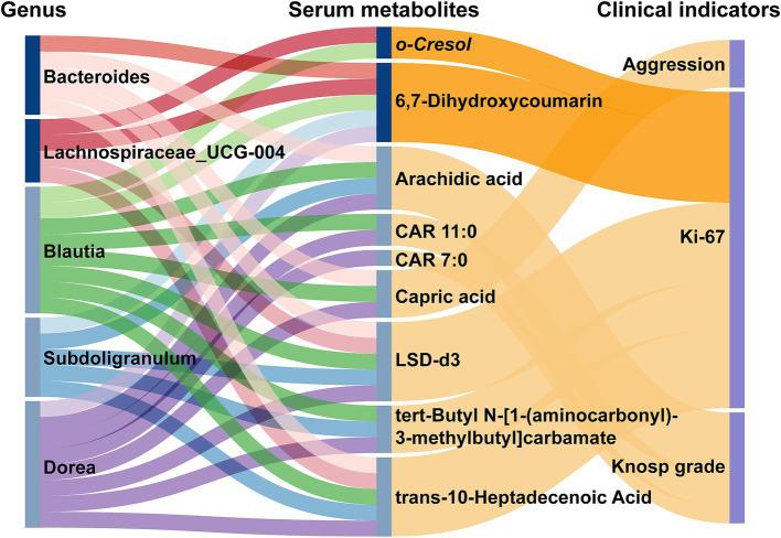 https://cdn.ncbi.nlm.nih.gov/pmc/blobs/f8f6/11997625/28a078e30696/fmicb-16-1541683-g007.jpg