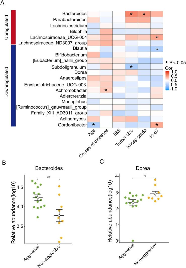 https://cdn.ncbi.nlm.nih.gov/pmc/blobs/f8f6/11997625/343d13a0d3c4/fmicb-16-1541683-g004.jpg