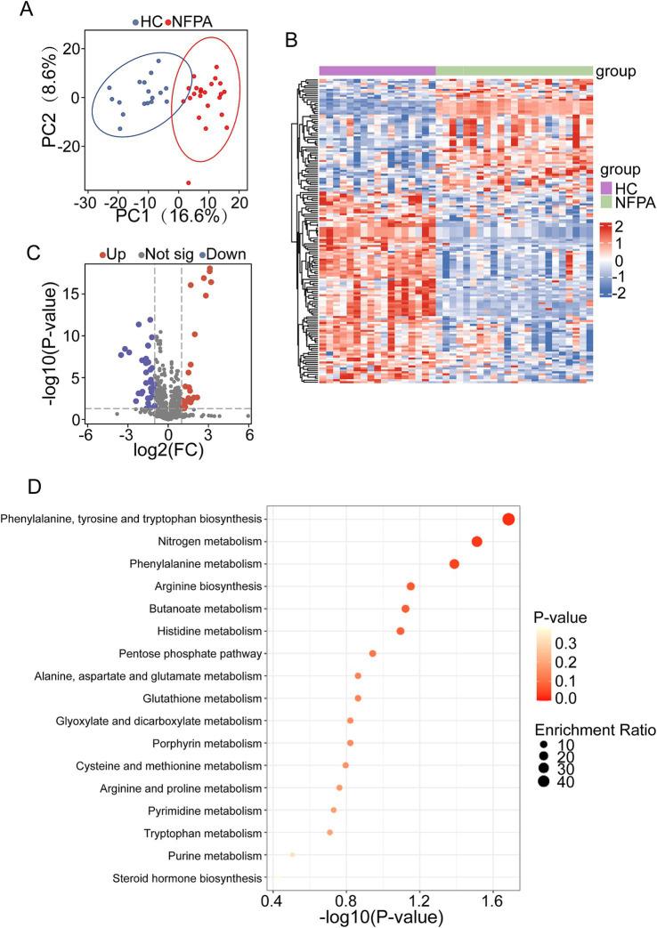 https://cdn.ncbi.nlm.nih.gov/pmc/blobs/f8f6/11997625/99f9581f3662/fmicb-16-1541683-g005.jpg