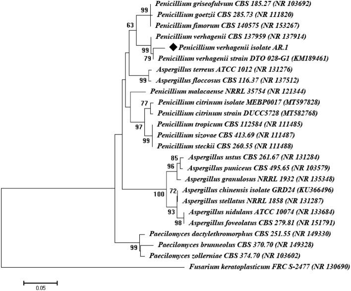 https://cdn.ncbi.nlm.nih.gov/pmc/blobs/f8f7/10239444/c5055294a435/41598_2023_35360_Fig3_HTML.jpg