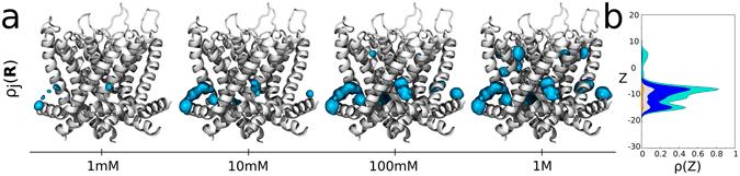 https://cdn.ncbi.nlm.nih.gov/pmc/blobs/f8f7/5516019/1ce552b8e3cc/41598_2017_5896_Fig3_HTML.jpg