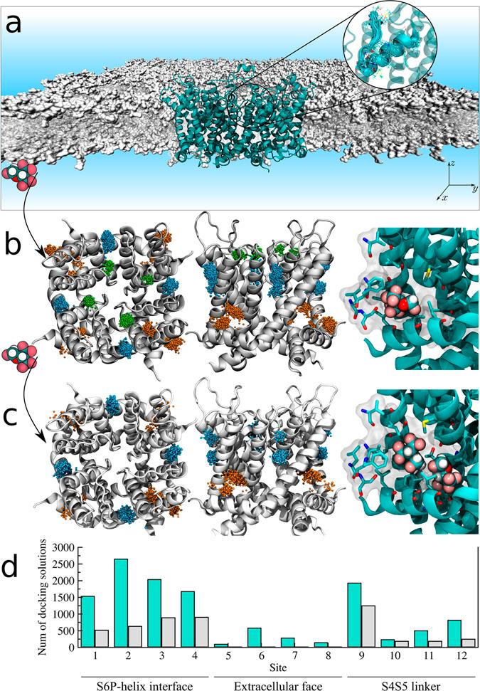 https://cdn.ncbi.nlm.nih.gov/pmc/blobs/f8f7/5516019/95f134c282b9/41598_2017_5896_Fig1_HTML.jpg