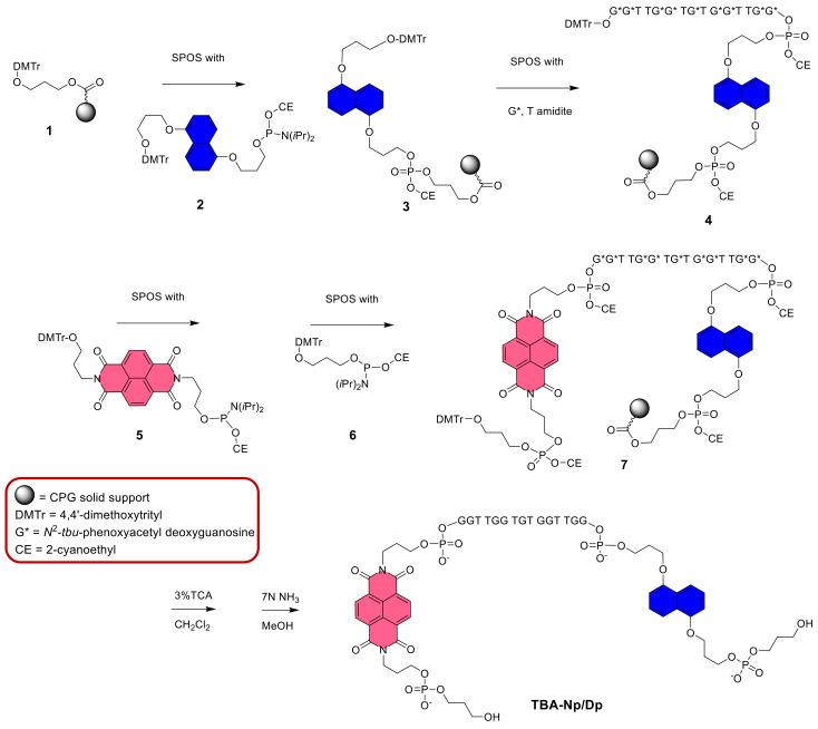 https://cdn.ncbi.nlm.nih.gov/pmc/blobs/f8f9/8430690/8c848b7eb283/ijms-22-09510-sch001.jpg