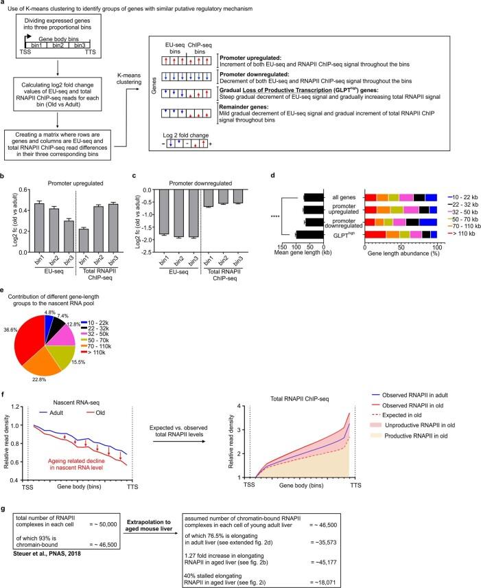 https://cdn.ncbi.nlm.nih.gov/pmc/blobs/f8f9/9925383/c68c35448026/41588_2022_1279_Fig10_ESM.jpg