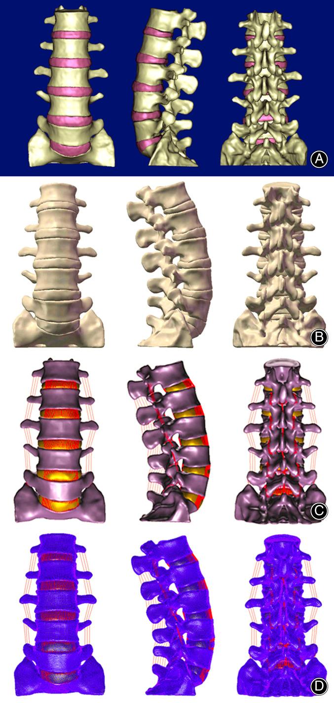 https://cdn.ncbi.nlm.nih.gov/pmc/blobs/f8fa/10102325/96ce4775b8ae/OS-15-1153-g008.jpg