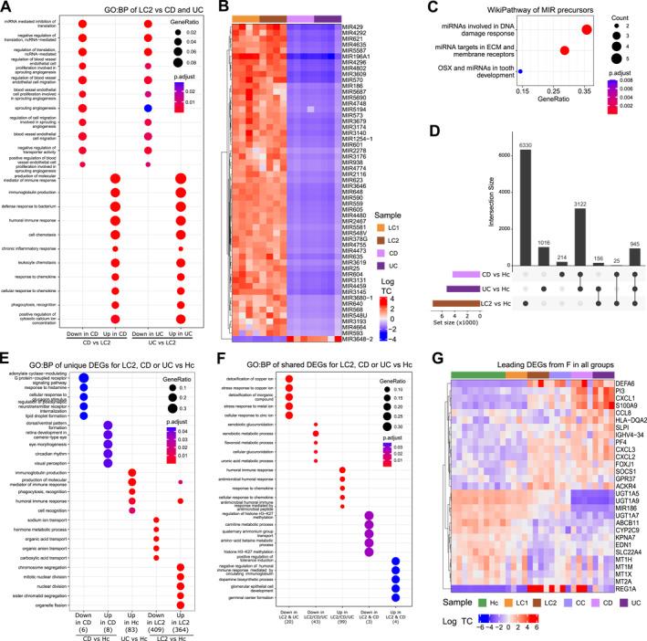 https://cdn.ncbi.nlm.nih.gov/pmc/blobs/f8fa/11250513/46aabba7f2e0/UEG2-12-737-g005.jpg