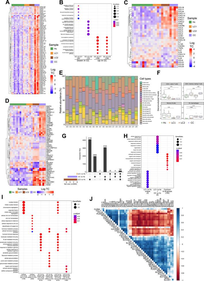 https://cdn.ncbi.nlm.nih.gov/pmc/blobs/f8fa/11250513/5ef58bc4986c/UEG2-12-737-g001.jpg
