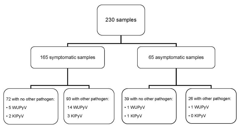 https://cdn.ncbi.nlm.nih.gov/pmc/blobs/f8fb/2630742/125525fb7403/08-0464-F1.jpg