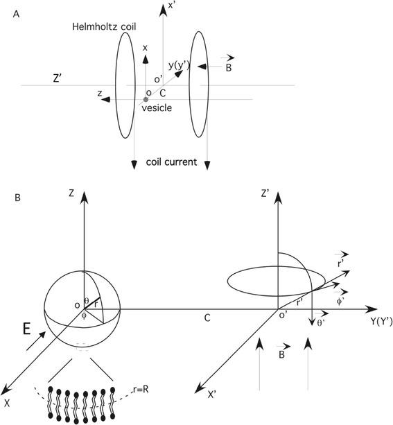 https://cdn.ncbi.nlm.nih.gov/pmc/blobs/f8fb/4306248/ee8d4939f52f/13628_2014_16_Fig1_HTML.jpg