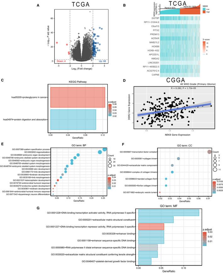https://cdn.ncbi.nlm.nih.gov/pmc/blobs/f8fc/8435421/5a21c0fac3ac/JCMM-25-8748-g003.jpg