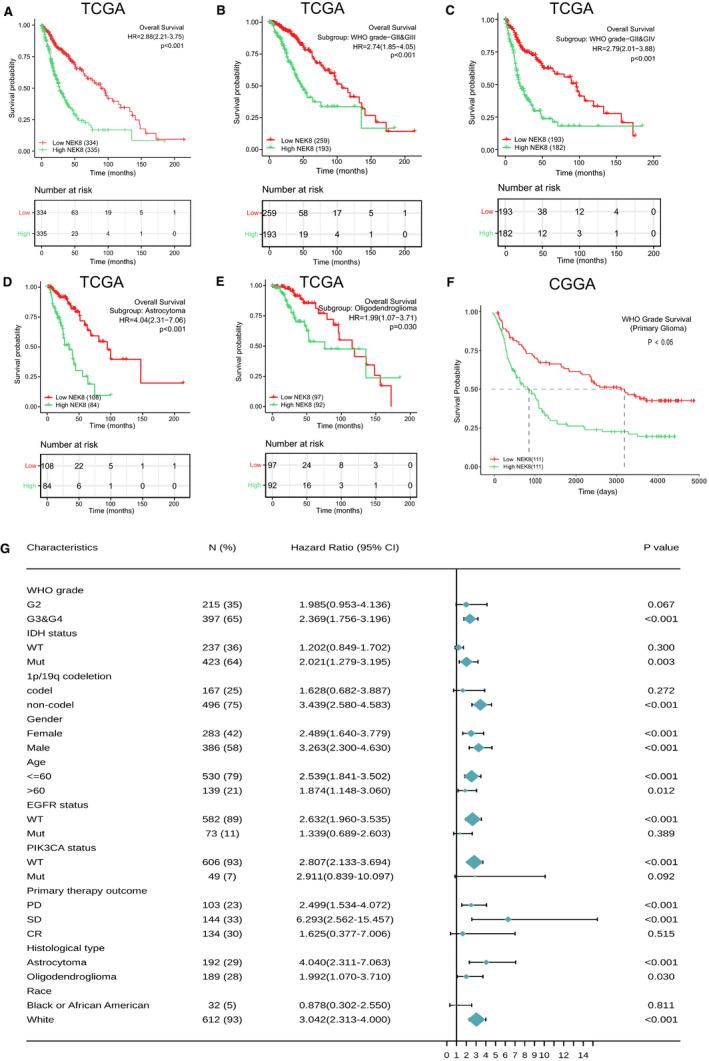 https://cdn.ncbi.nlm.nih.gov/pmc/blobs/f8fc/8435421/731cd5f77362/JCMM-25-8748-g006.jpg