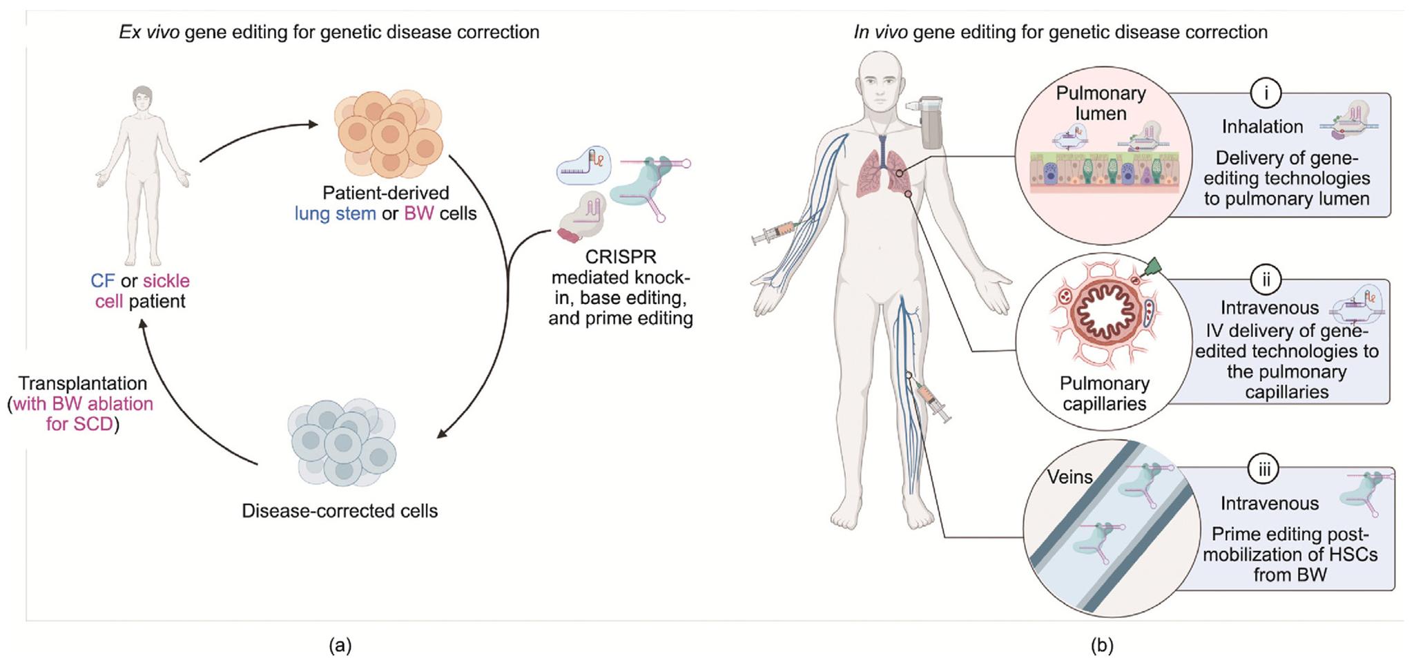 https://cdn.ncbi.nlm.nih.gov/pmc/blobs/f8fd/12382428/0f6c6f770874/nihms-2086763-f0003.jpg