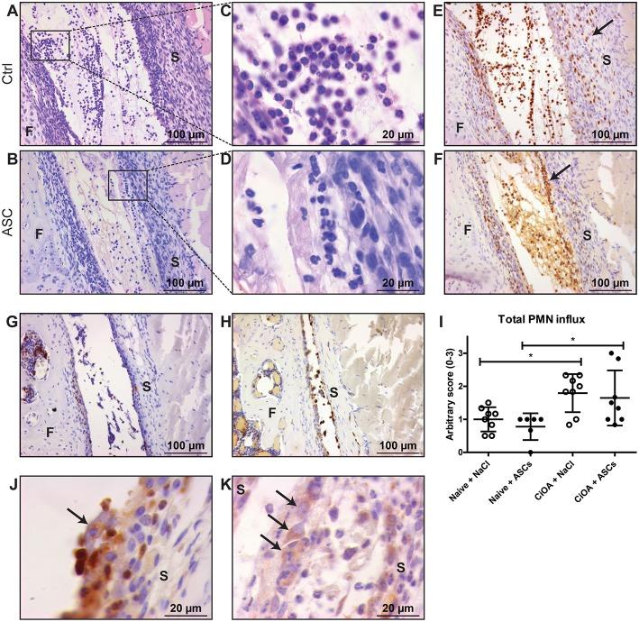 https://cdn.ncbi.nlm.nih.gov/pmc/blobs/f8fd/6545928/84cb1218dee3/fimmu-10-01075-g0001.jpg