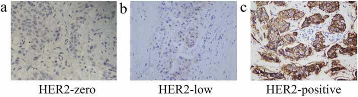 https://cdn.ncbi.nlm.nih.gov/pmc/blobs/f8fe/11324846/a0a864c218d7/gr3.jpg