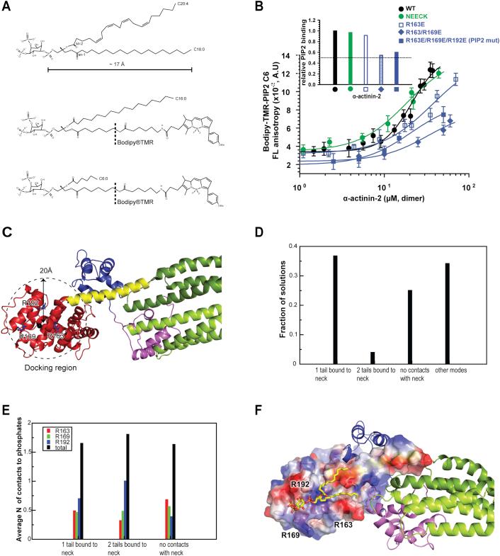 https://cdn.ncbi.nlm.nih.gov/pmc/blobs/f8fe/4259493/26fc7bbf6d95/figs2.jpg