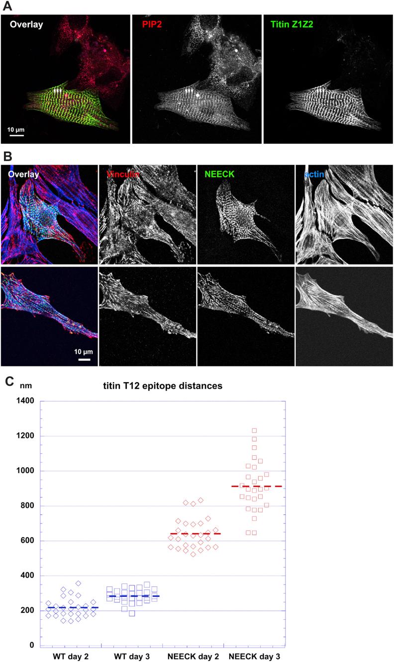 https://cdn.ncbi.nlm.nih.gov/pmc/blobs/f8fe/4259493/99dcee9c85a2/figs6.jpg