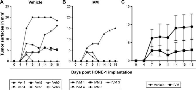 https://cdn.ncbi.nlm.nih.gov/pmc/blobs/f8ff/6135081/4471775cb5e8/dddt-12-2805Fig6.jpg