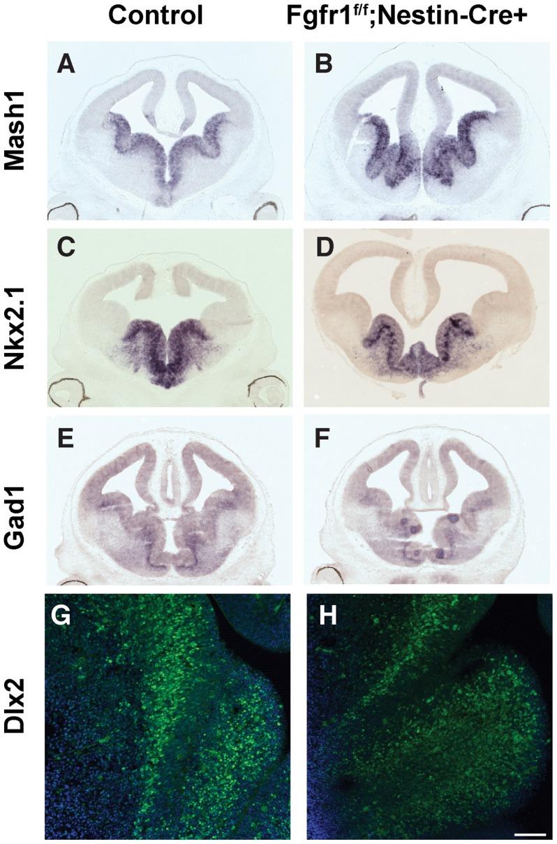 https://cdn.ncbi.nlm.nih.gov/pmc/blobs/f900/4130531/0b2eb07466ae/pone.0103696.g002.jpg